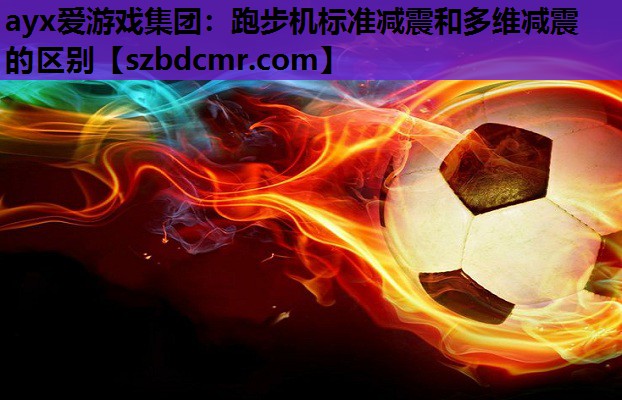 ayx爱游戏集团：跑步机标准减震和多维减震的区别